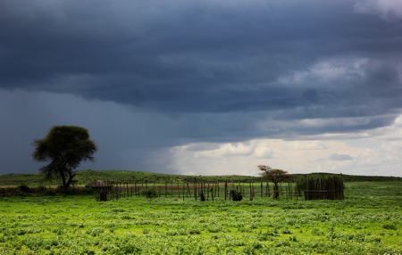 Storm